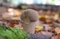 /album/fotogalerij/img-8256-jpg/